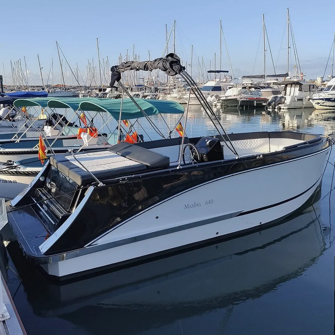 Salida en barco organizada desde Algeciras, Andalucía